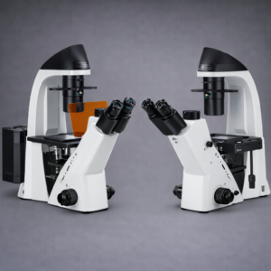 میکروسکوپ اینورت فلورسانس فازکنتراست BDS400